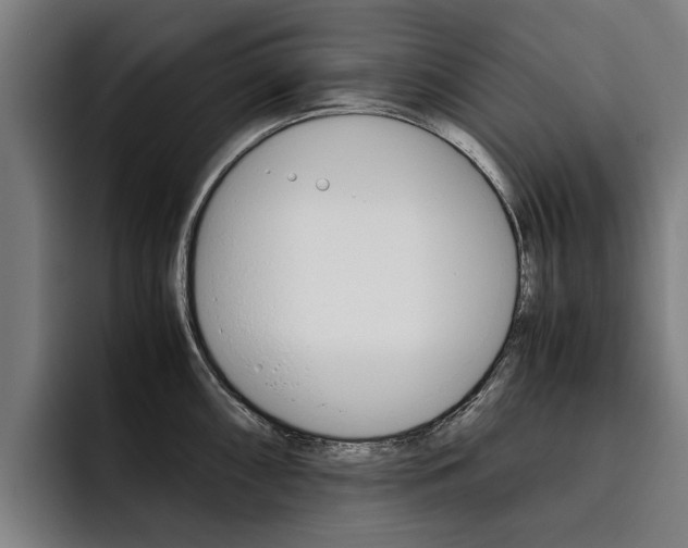 X0000093491098200710121008