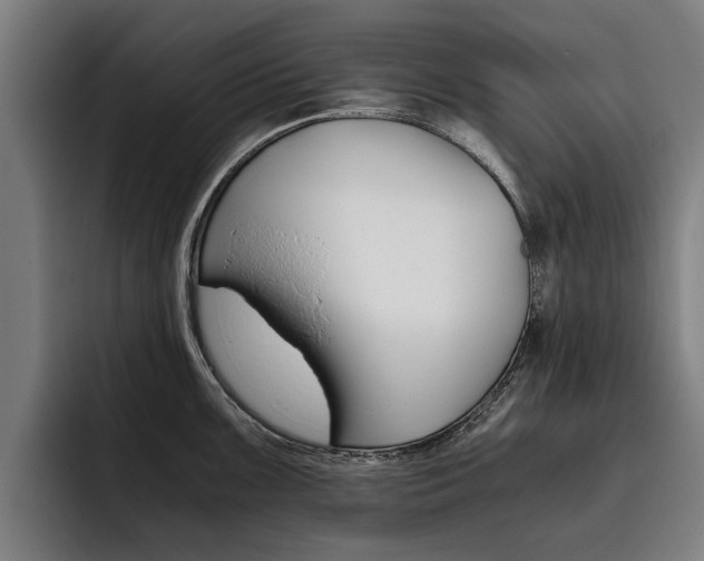 X0000093491099200710121008