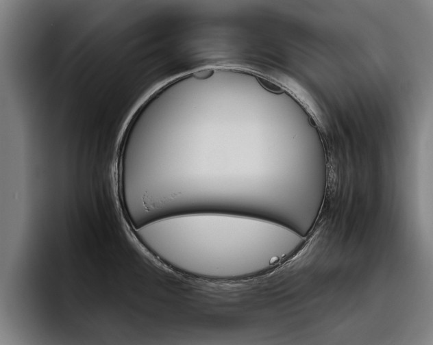 X0000093491100200710121008