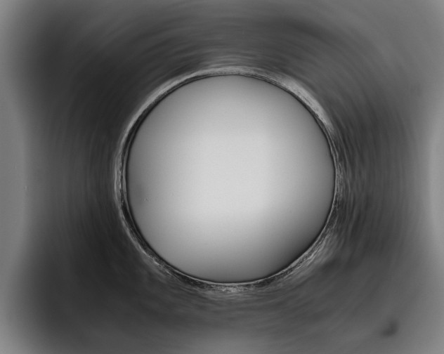 X0000093491101200710121008