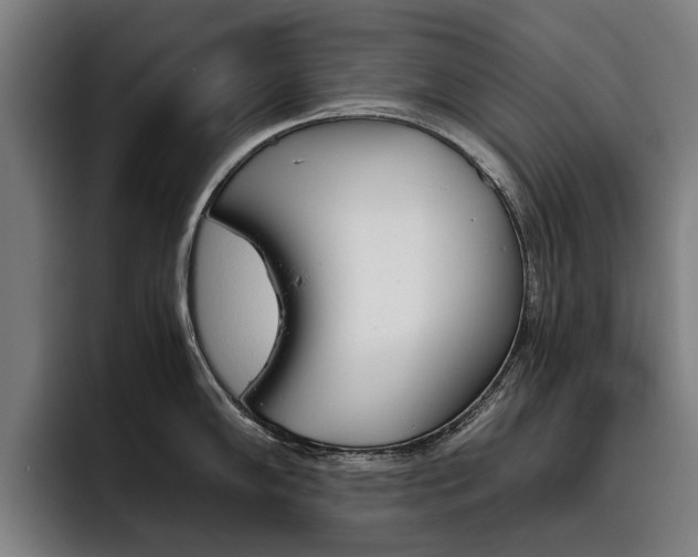 X0000093491102200710121008