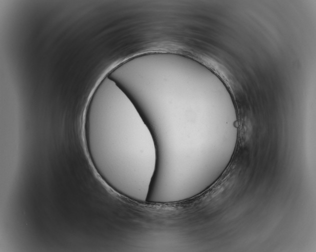 X0000093491103200710121008