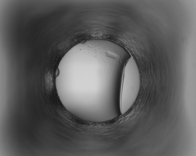 X0000093491106200710121007