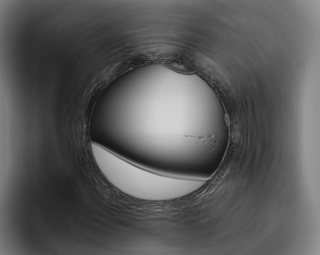 X0000093491108200710121007