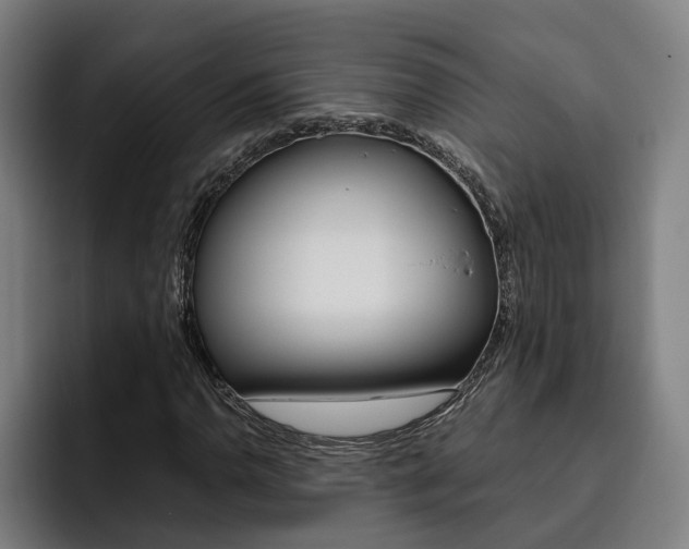 X0000093491110200710121008