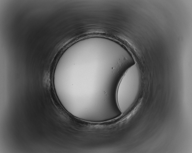X0000093491113200710121008
