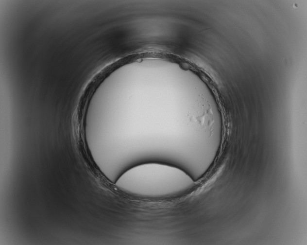 X0000093491117200710121008