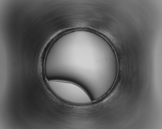 X0000093491118200710121008