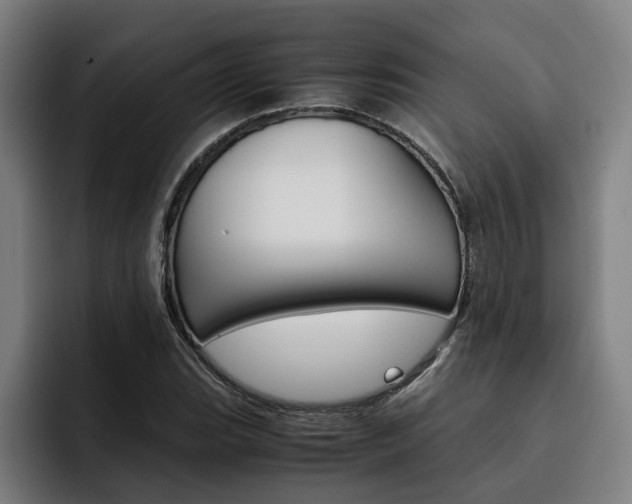 X0000093491119200710121008