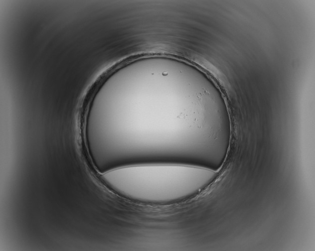 X0000093491120200710121008