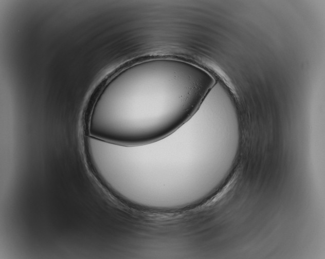 X0000093491122200710121008