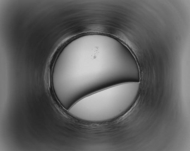 X0000093491123200710121008