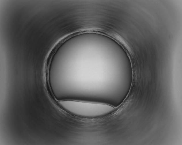 X0000093491124200710121008