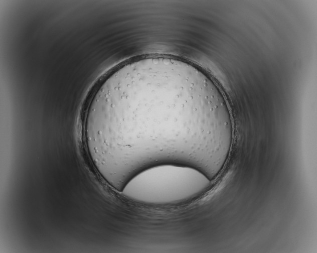 X0000093491125200710121008
