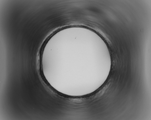 X0000093491126200710121008