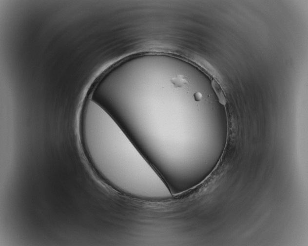 X0000093491128200710121008