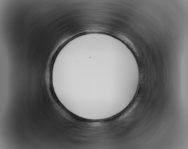 X0000093491130200710121008