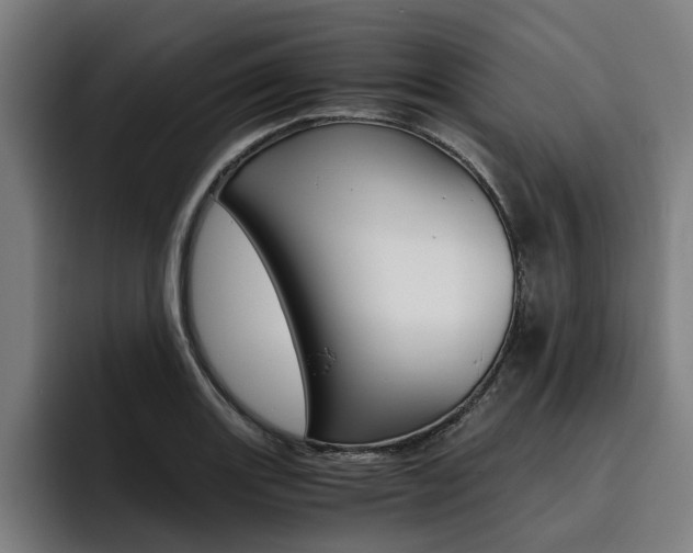 X0000093491131200710121008
