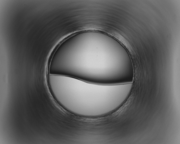X0000093491132200710121008