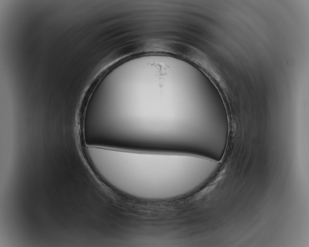 X0000093491133200710121008