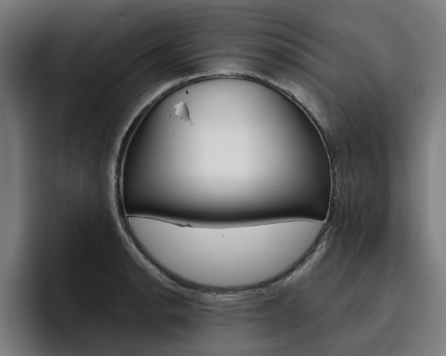 X0000093491134200710121008