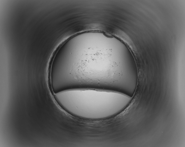 X0000093491135200710121008