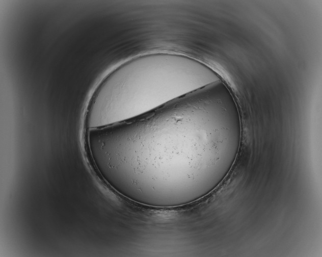 X0000093491136200710121008