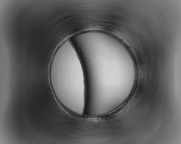 X0000093491137200710121008