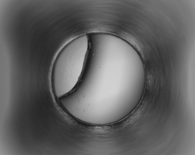 X0000093491138200710121008