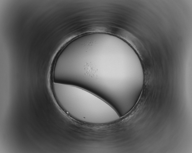 X0000093491139200710121008