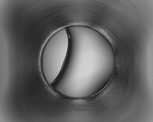 X0000093491140200710121008
