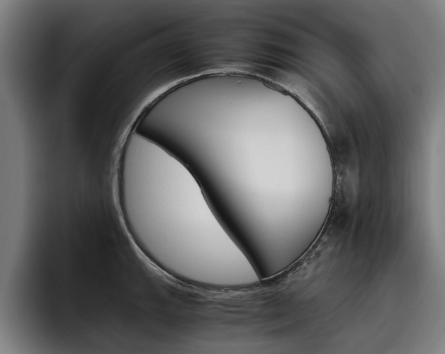 X0000093491143200710121008