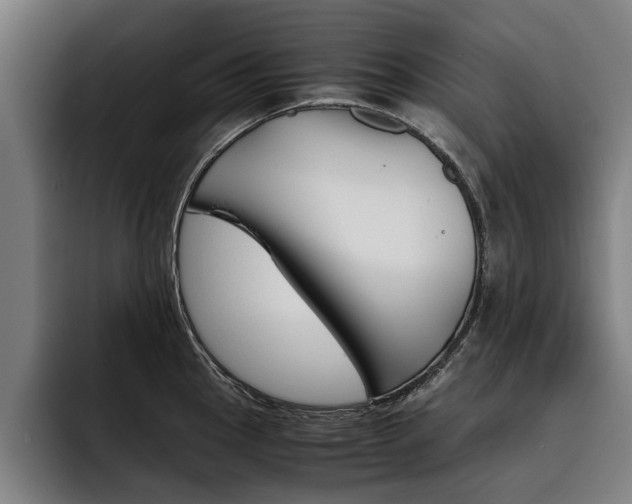 X0000093491145200710121008
