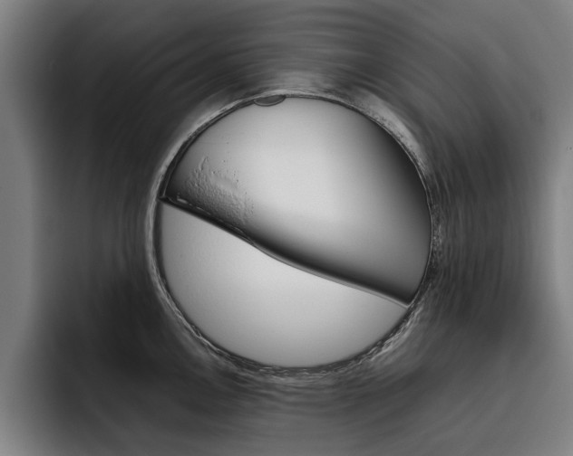 X0000093491146200710121008