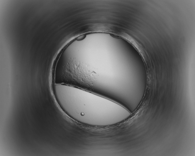 X0000093491147200710121008