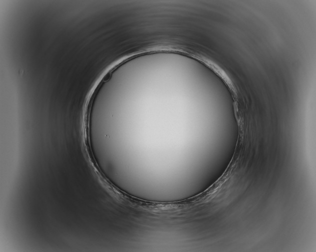X0000093491148200710121008