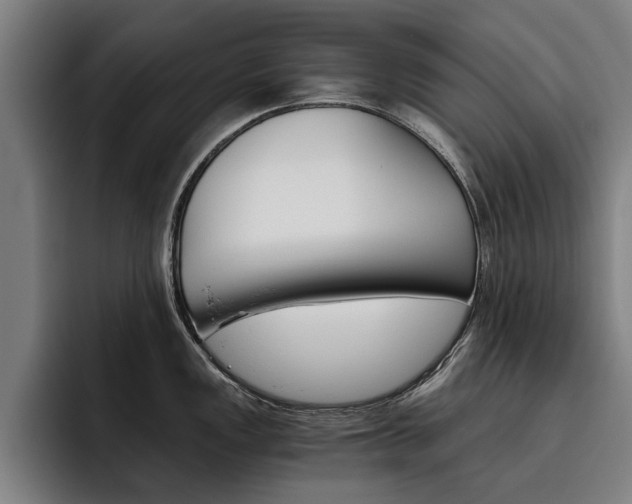 X0000093491149200710121008