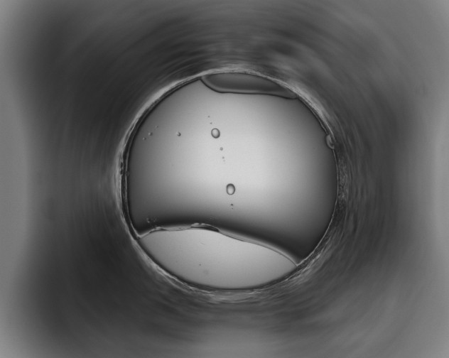 X0000093491151200710121008