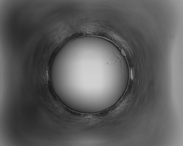 X0000093491155200710121007