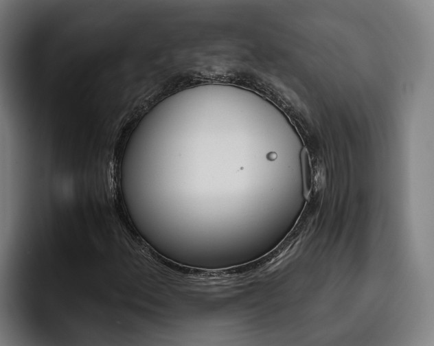 X0000093491156200710121007