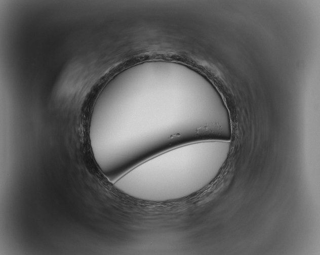 X0000093491159200710121007