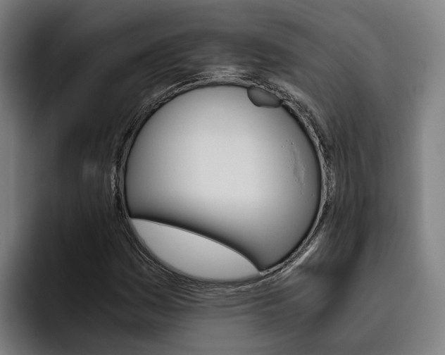 X0000093491161200710121007