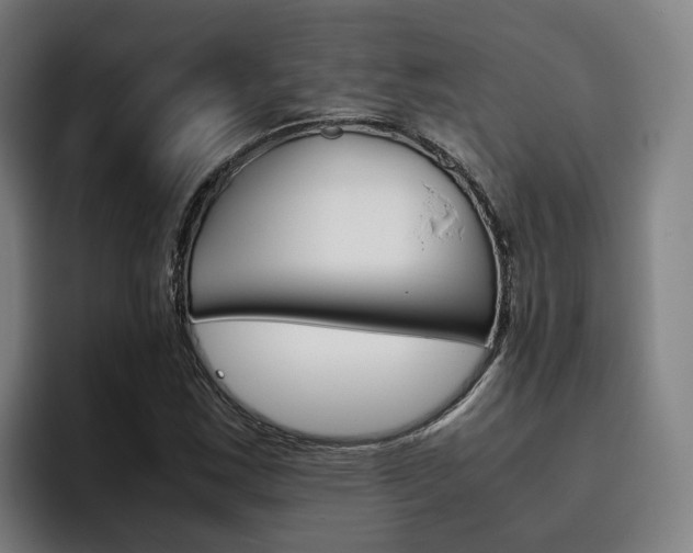 X0000093491163200710121007