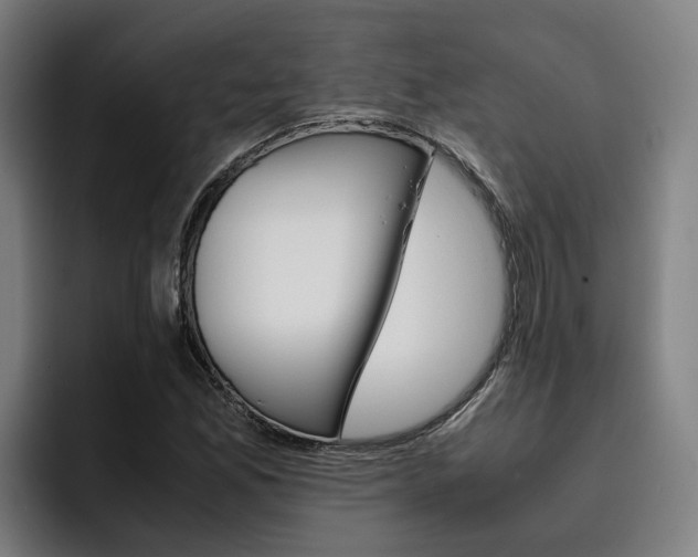 X0000093491165200710121007