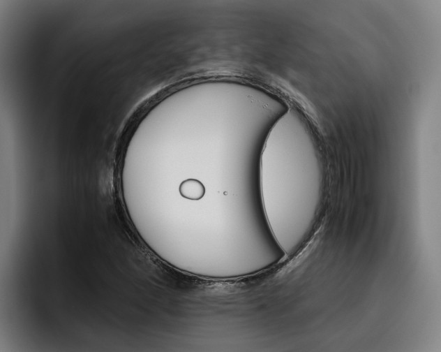X0000093491166200710121007