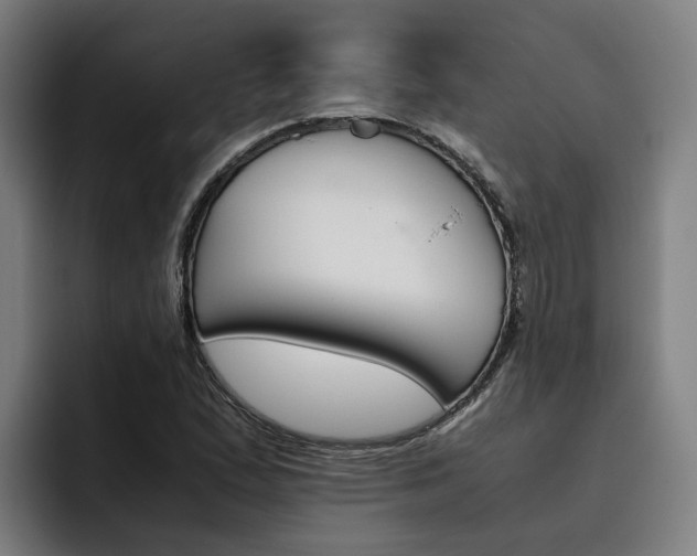 X0000093491167200710121007