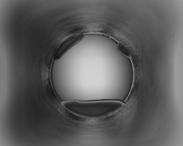 X0000093491169200710121007