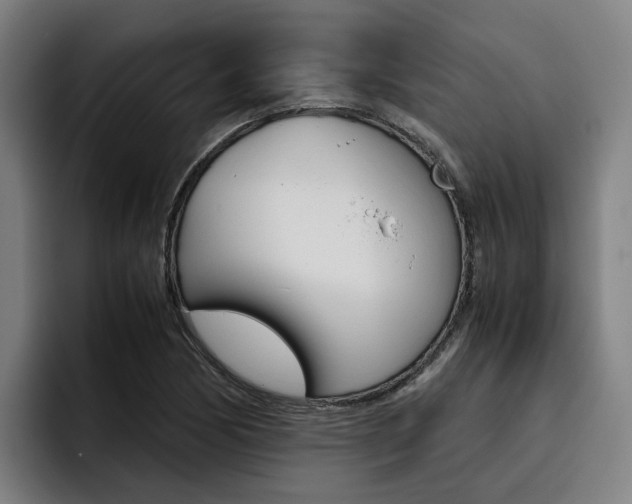 X0000093491170200710121007