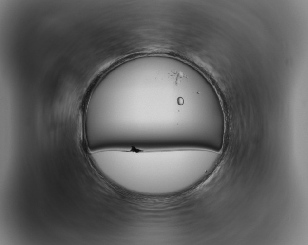 X0000093491171200710121007