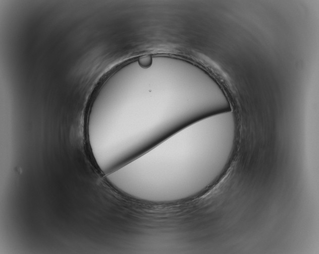 X0000093491174200710121007